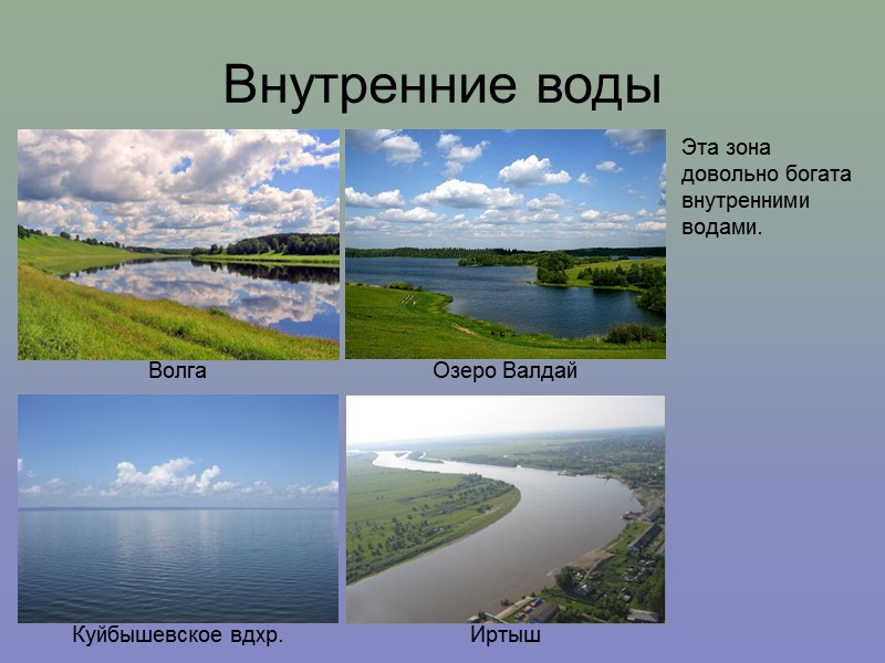 Внутренние воды Озеро Валдай Волга Эта зона довольно богата внутренними водами. Куйбышевское вдхр. Иртыш